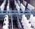 Fibrotex™ filtration systems 3