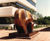 Covenant large-scale bronze sculpture - New York 1