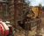 Piling services - bored piles 0