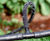 LeakyPipe® all-inclusive combination irrigation kits 1