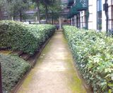 LeakyPipe® - irrigation kits for hedges - on this page