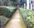 LeakyPipe® - irrigation kits for hedges 0