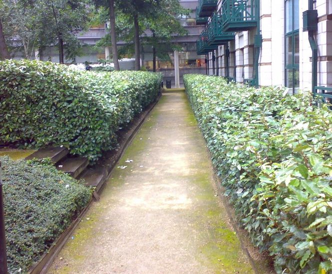 LeakyPipe® - irrigation kits for hedges