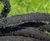 LeakyPipe® - irrigation kits for hedges 2