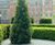 LeakyPipe® - irrigation kits for hedges 1