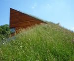 Wildflower and Meadow Grass green roof mats, Landhouse