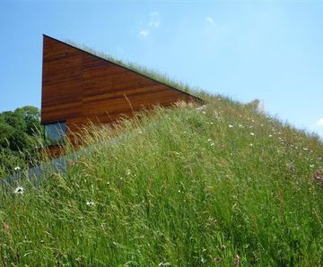 Wildflower and Meadow Grass green roof mats, Landhouse