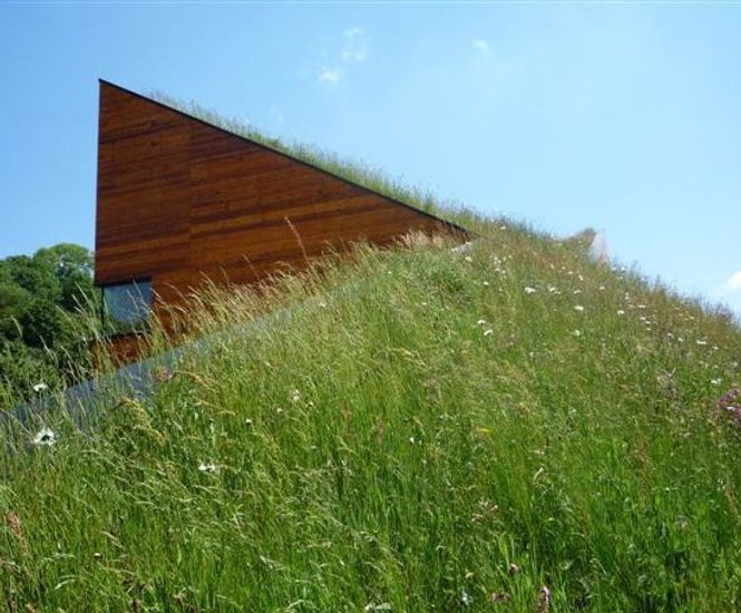 Wildflower and Meadow Grass green roof mats, Landhouse