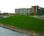 Grassfelt™ - soil-less landscaping turf for slopes and embankments 4