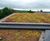 Sedum Mat - pre-grown vegetation mats for green roofs 7