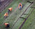 Steep slope turfing and stabilisation, Lincoln Castle 3