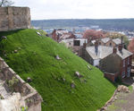 Steep slope turfing and stabilisation, Lincoln Castle