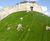 Steep slope turfing and stabilisation, Lincoln Castle 7