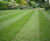 LT7 Festival - hardwearing turf for garden lawns and general landscaping 0