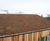 Lightweight Green Roof Substrate - soil mix for green roof planting 0