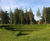 Grassfelt™ - soil-less landscaping turf for slopes and embankments 0