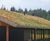 Sedum Mat - pre-grown vegetation mats for green roofs 1