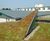 Sedum Mat - pre-grown vegetation mats for green roofs 6