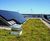 Sedum Mat - pre-grown vegetation mats for green roofs 8