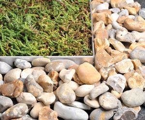 Lindum Aluminium Green Roof Edging - recycled metal border for green roofs