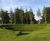 Grassfelt™ erosion control felt 2