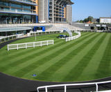 LT6  Sports - turf for sports pitches and racecourses - on this page