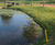 LT8 Festival Plus - turf for high-wear lawns, parks and pathways 2