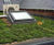 School roof transformed with wildflower matting 2