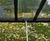 School roof transformed with wildflower matting 0