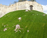 Grassfelt™ erosion control felt
