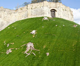 Grassfelt™ erosion control felt - on this page