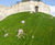 Grassfelt™ erosion control felt 0