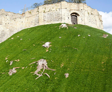 Grassfelt™ erosion control felt