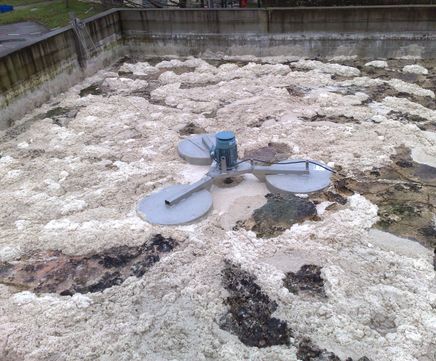FRMD - floatable foam, oil and fat removal device