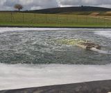 AER-SL – floating and submersible directional aspirator aerator - on this page