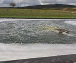 AER-SL – floating and submersible directional aspirator aerator