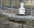 MIX-GS - anoxic mixers 4