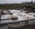 AER-AS – high speed floating aerator and mixer 6