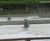AER-AS – high speed floating aerator and mixer 7