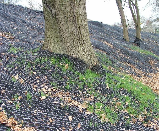 RenoMesh anti-burrowing mesh