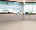 iQ Granit compact vinyl homogeneous sheet flooring