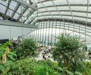 Commercial Water Features and Landscape Irrigation in London