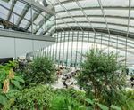 Commercial Water Features and Landscape Irrigation in London