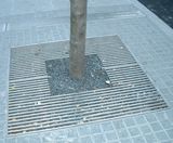 ASF 3000 stainless steel tree grilles - on this page