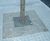 ASF 3000 stainless steel tree grilles 0