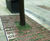 Bespoke decorative bronze tree grilles, NOMA development 4