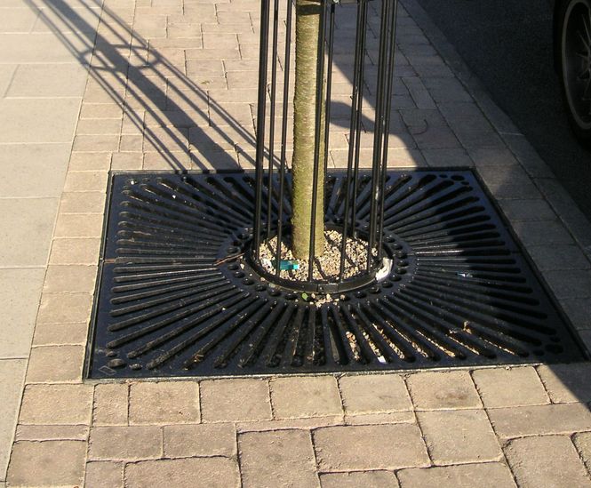 ASF square recycled cast iron tree grilles