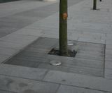 ASF square stainless steel tree grilles - on this page