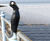 Cast post & rail sculptures, Tern Project, Morecambe 3