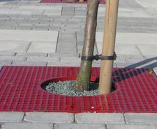 ASF 306 recycled cast iron tree grille